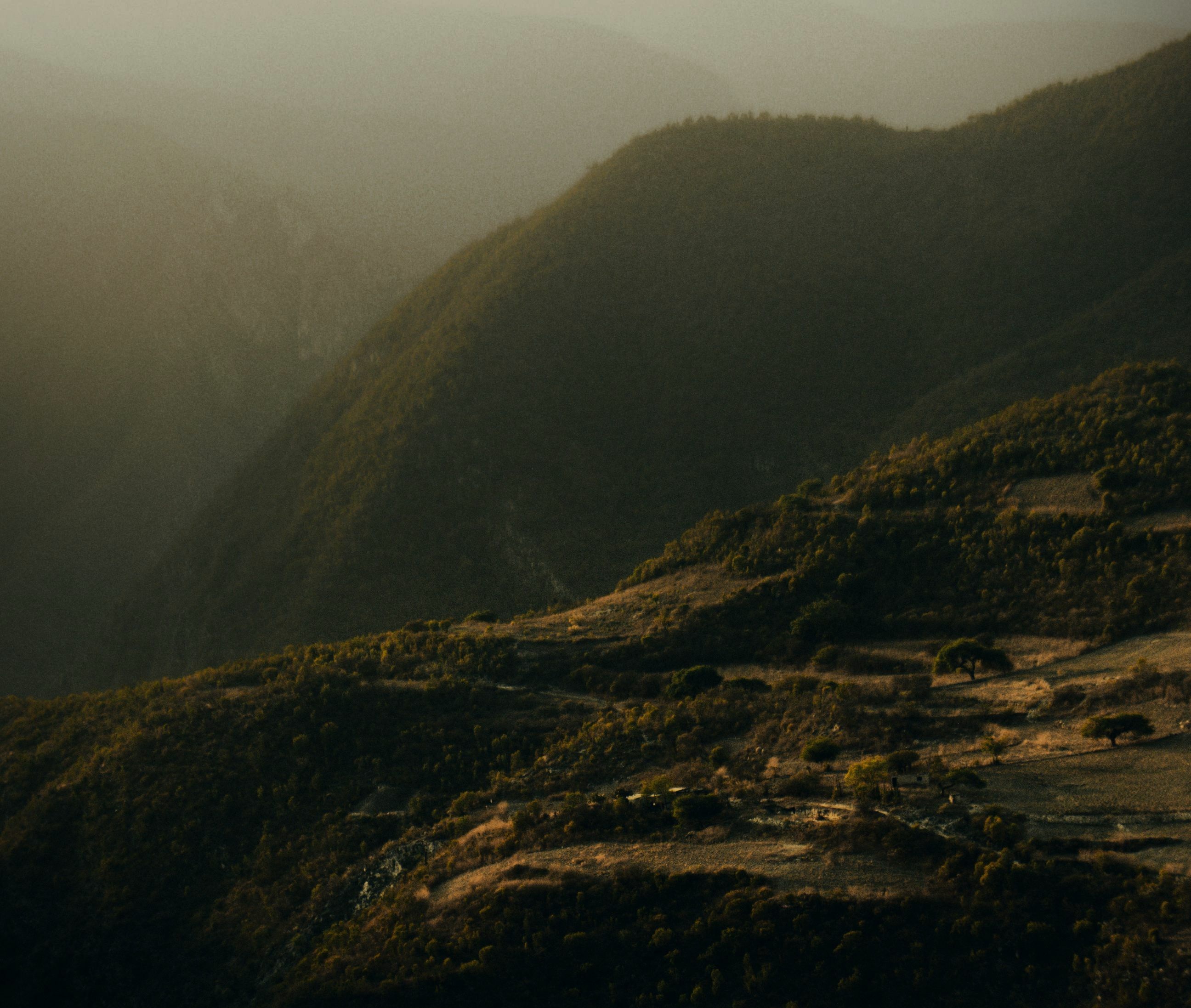 Parallax Features
